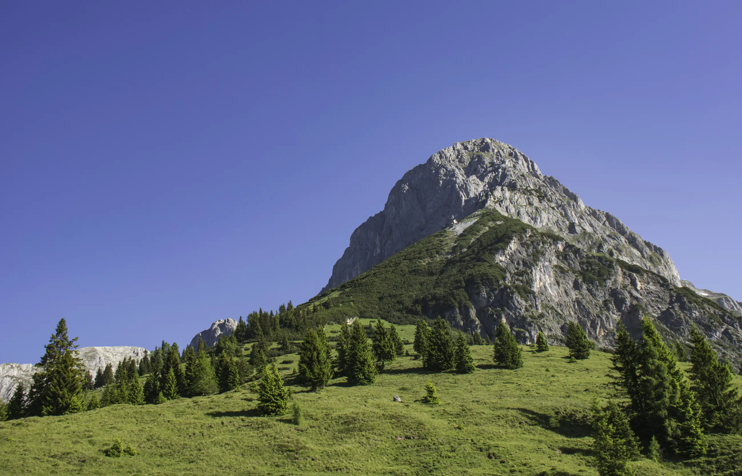 A tall, rocky mountain rises above a green hillside dotted with pine trees, under a clear blue sky.