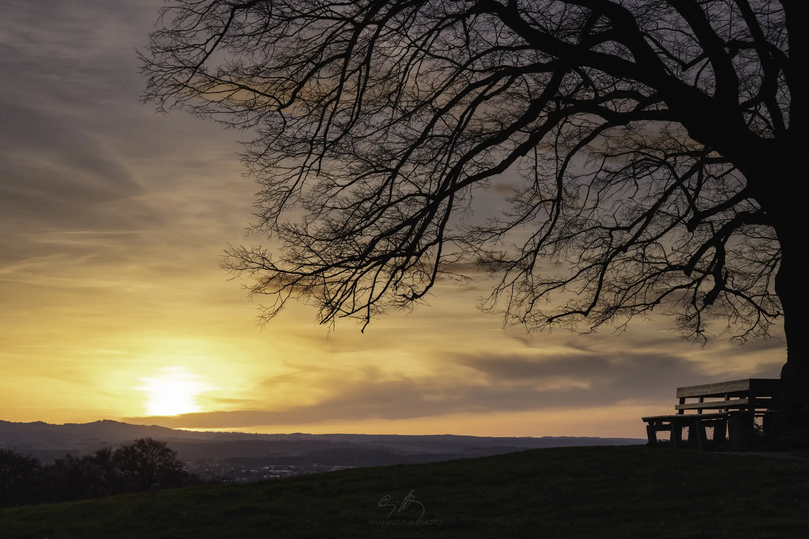 A large tree with bare branches stands beside a wooden bench on a grassy hill, silhouetted against a colorful sunset sky with orange, yellow, and purple hues.
