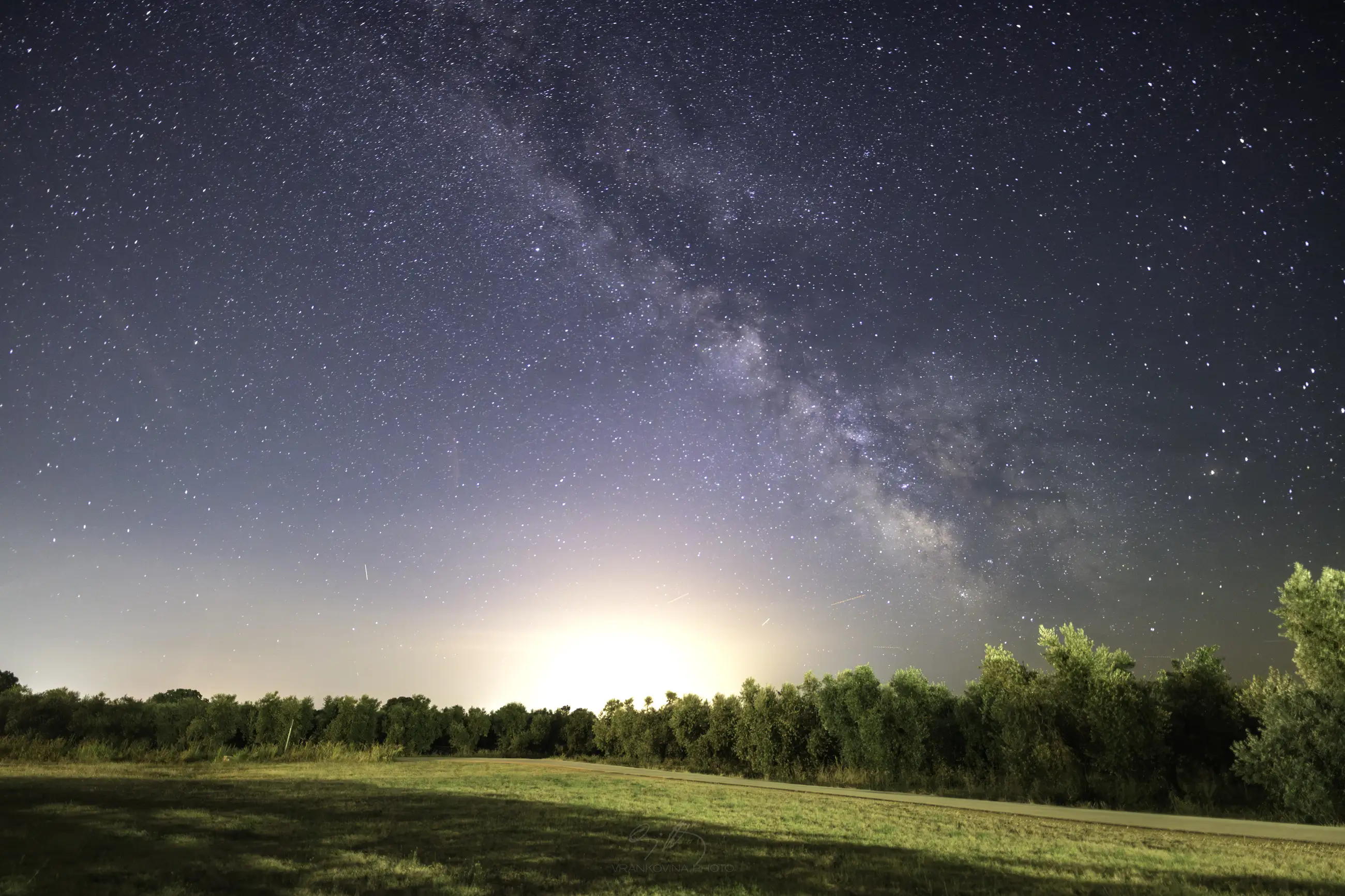 Milky way over an olive plantation.