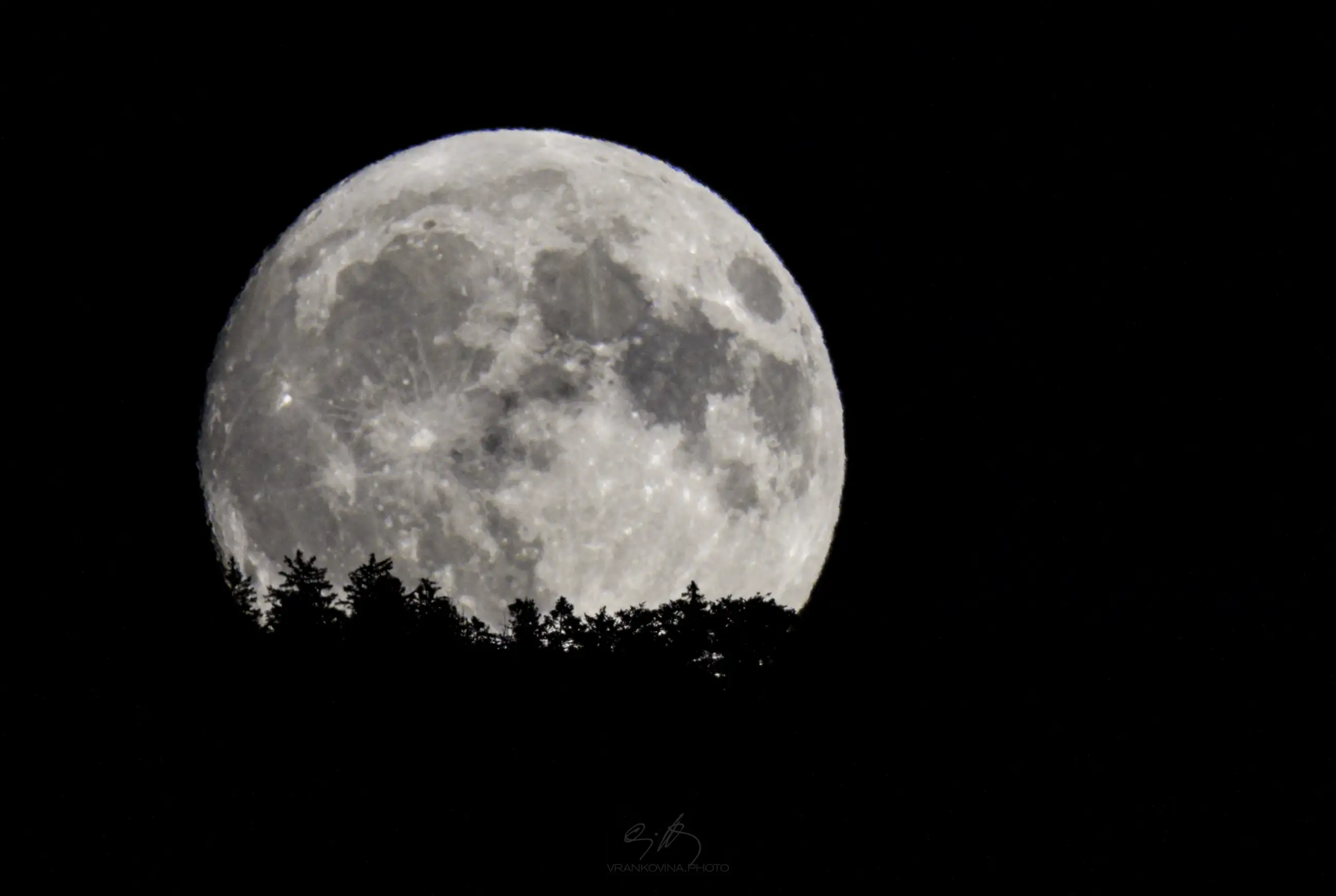 A large, bright full moon rises above the silhouette of trees against a dark night sky. The moons surface details and craters are clearly visible.