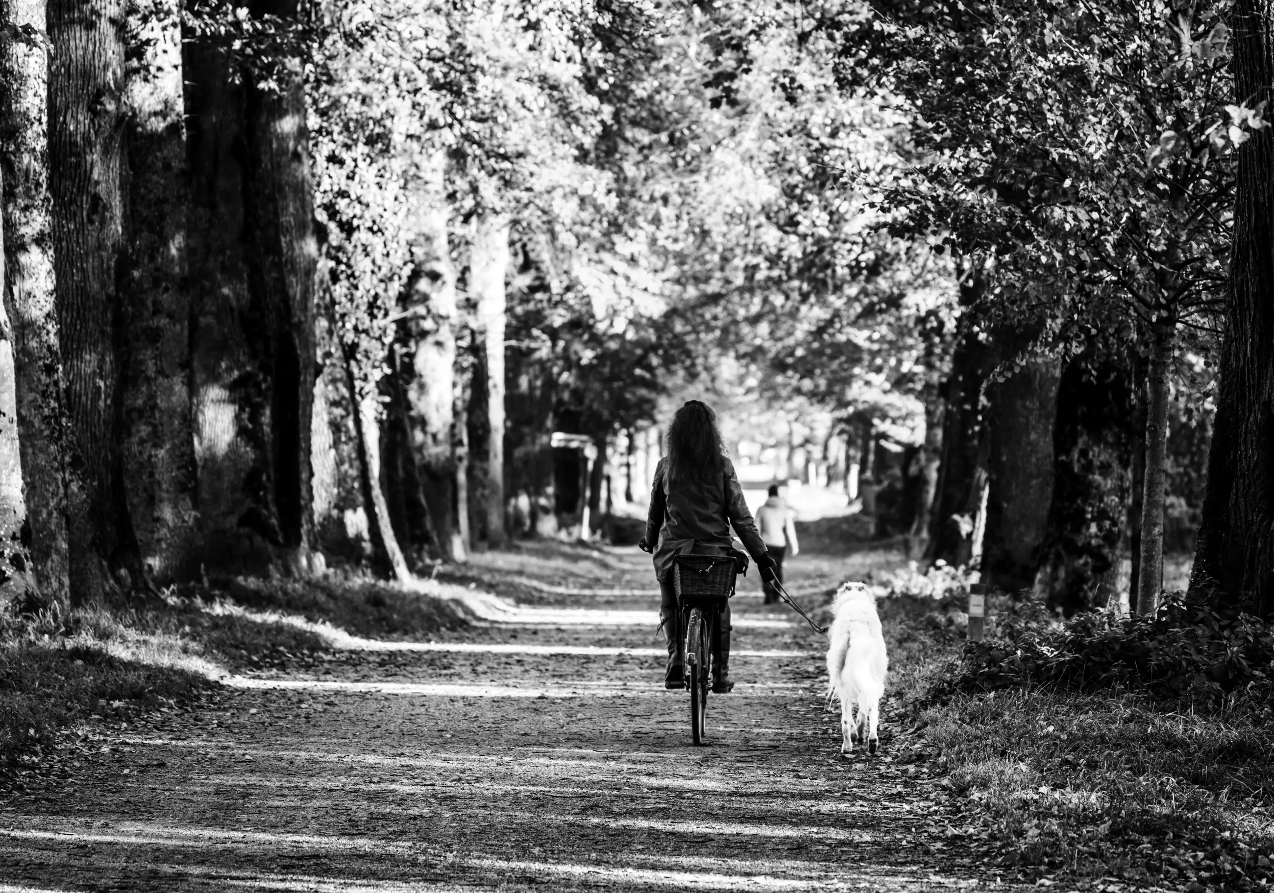 A woman rides a bicycle down a tree-lined path with a dog walking beside her. Sunlight filters through the trees, casting dappled shadows on the ground. The scene is in black and white.