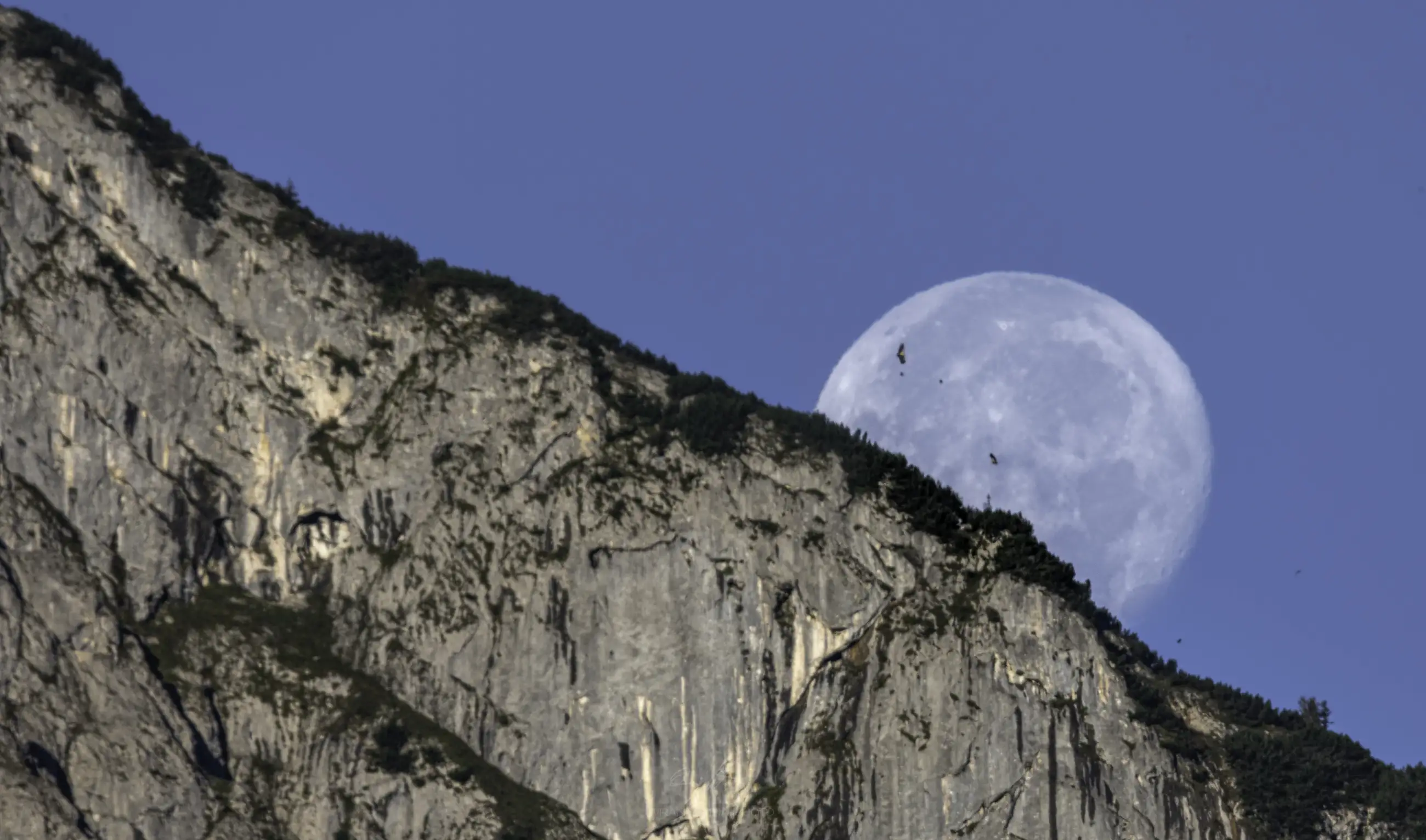 A large, pale moon rises behind a rugged, rocky mountain slope with a clear blue sky in the background and a few birds flying in front of the moon.