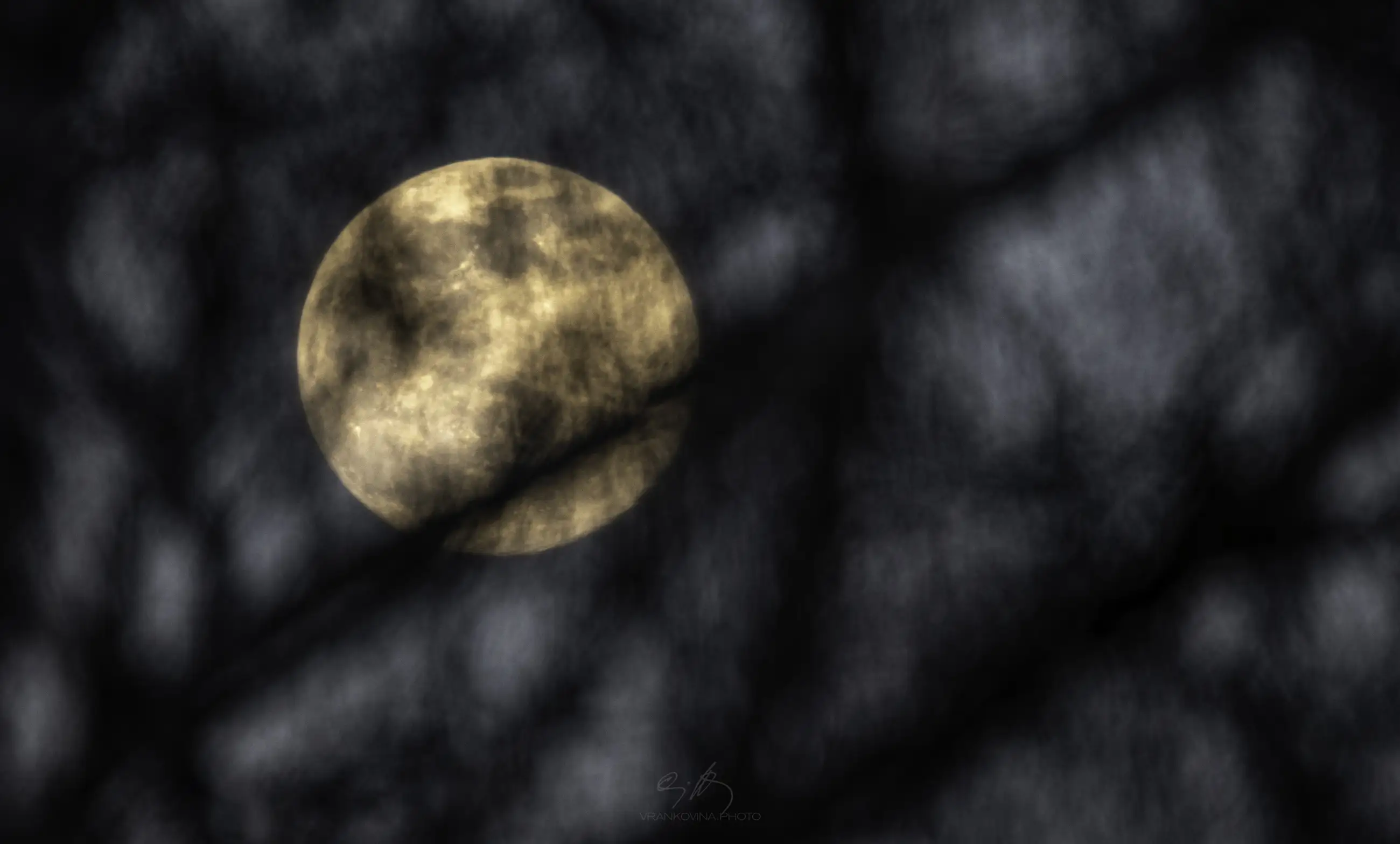 A full moon appears hazy and partially obscured by the dark, out-of-focus silhouettes of tree branches in the foreground. The night sky is dim, creating a mysterious atmosphere.