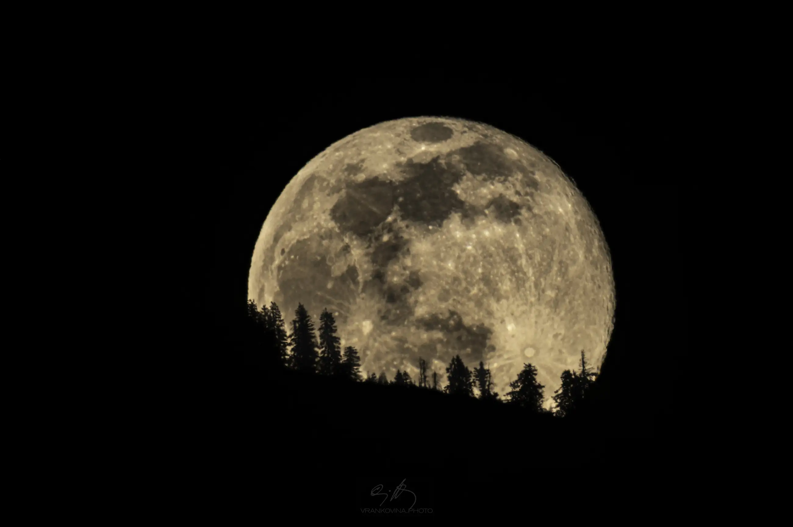 A large, bright full moon rises behind a silhouette of tall pine trees on a ridge, set against a dark night sky.