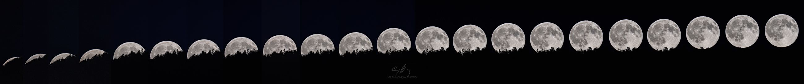A composite image showing the moon in various phases as it rises above a silhouetted tree line.